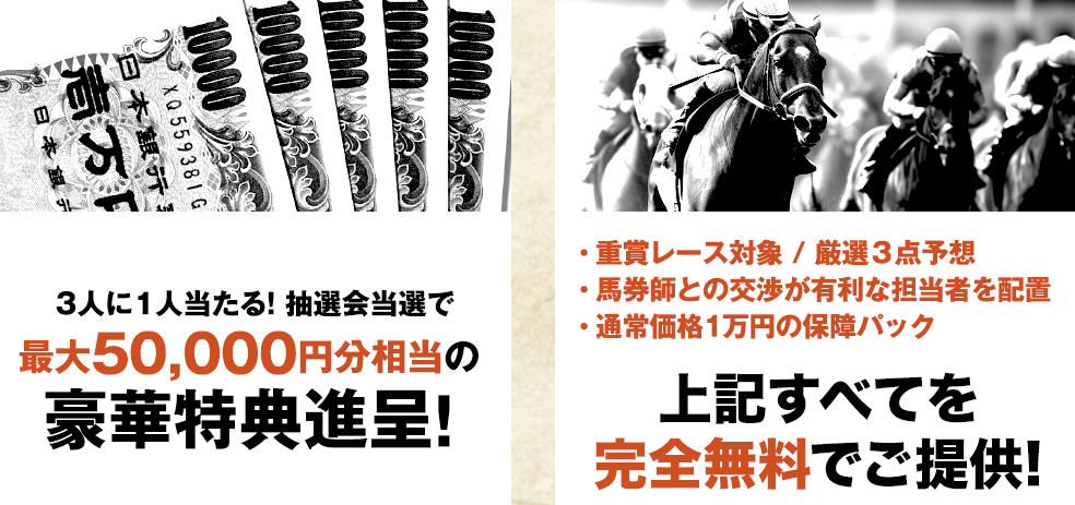 アナログの新規会員の特典内容